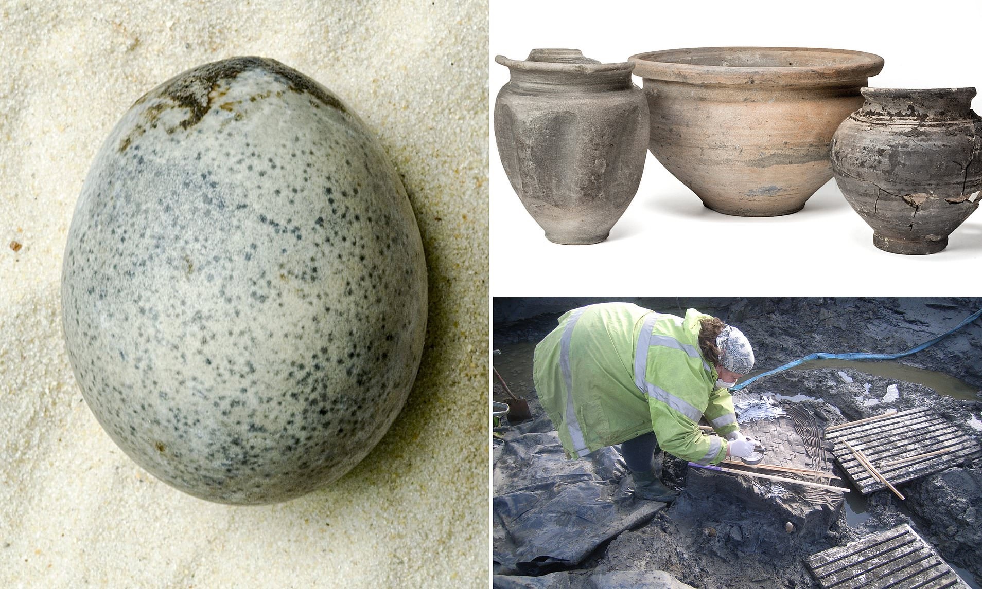 Quả Trứng Gà La Mã, 1.700 Năm Tuổi, Nguyên Vẹn, Chất Lỏng, Berryfields, Buckinghamshire, Phát Hiện Hiếm Gặp, Nghiên Cứu, Lịch Sử