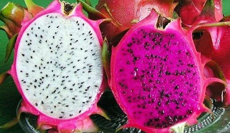 Ăn thanh long đỏ hay trắng mới tốt?