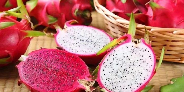 Ăn thanh long đỏ hay trắng mới tốt?