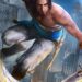 Ubisoft chốt lịch ra mắt Prince of Persia bản làm lại và Anno 117