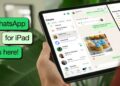 WhatsApp chính thức có ứng dụng cho iPad