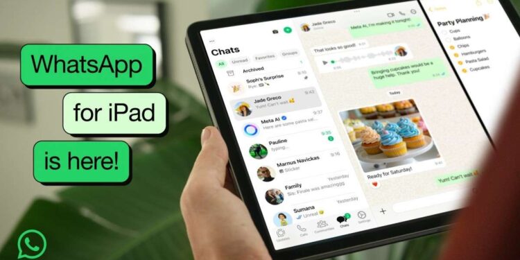 WhatsApp chính thức có ứng dụng cho iPad