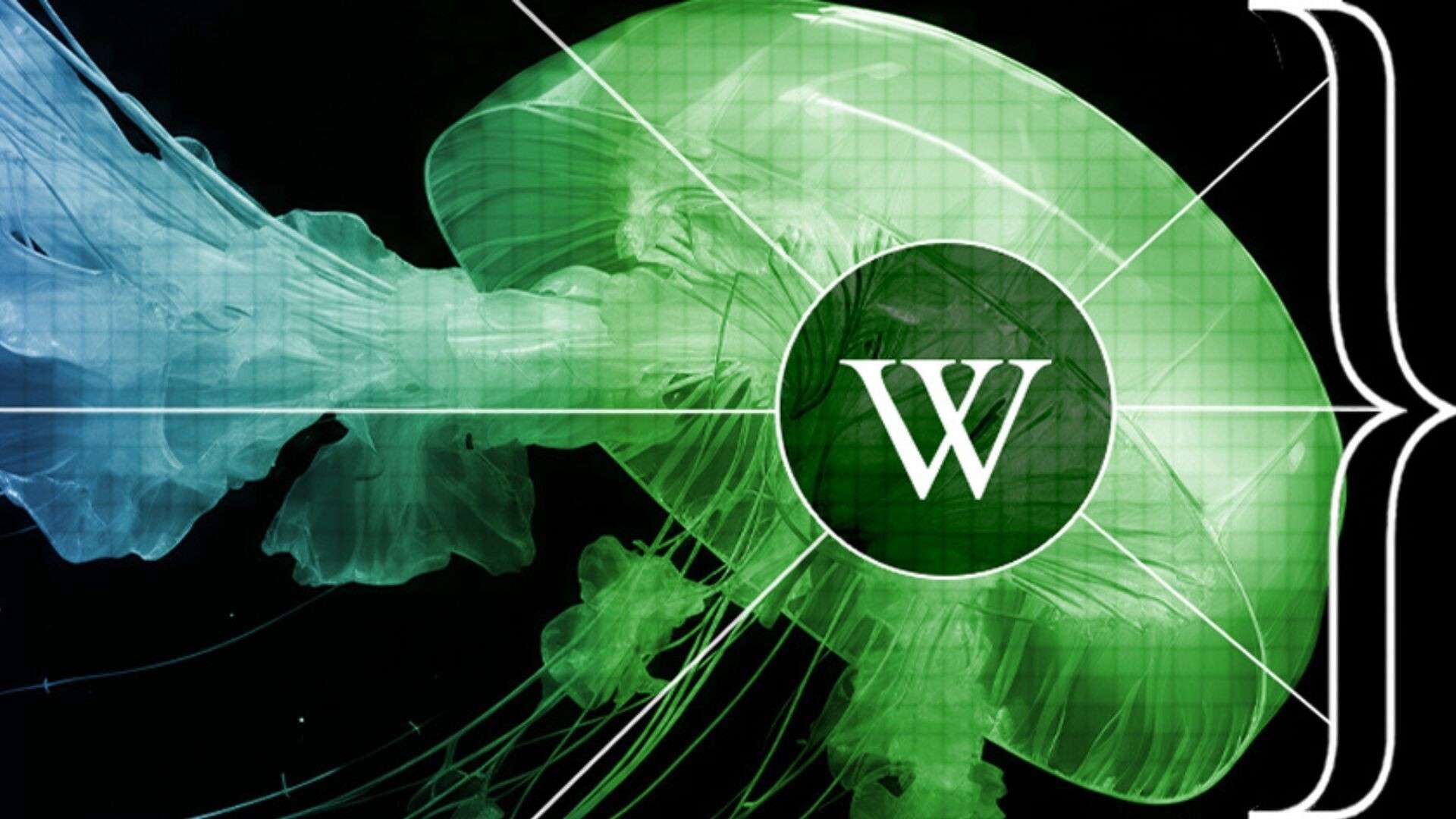Wikipedia ngừng thử nghiệm tóm tắt bằng AI