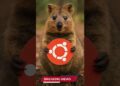 Ubuntu phát hành bản Snapshot 2 cho Questing Quokka