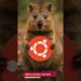 Ubuntu phát hành bản Snapshot 2 cho Questing Quokka