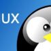 Linux 6.16-rc6 ổn định trở lại nhờ Torvalds sửa lỗi