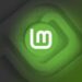 Linux Mint 22.2 Beta sắp ra mắt